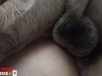 131 Zhd Amateur Bestiality Video Www.extrem Movies.info 002