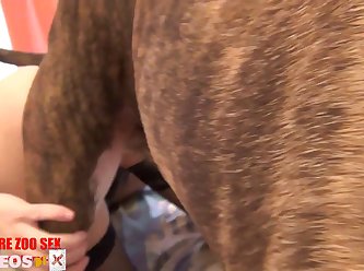 Canine Cock Plopped Out All The Dog Spunk That Had