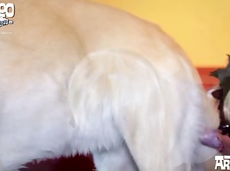 Thankfully It Was Vaginal