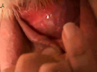 Her Guiche Piercing Was Quickly Clipped To The End Of