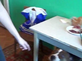071 Zhd Teamrussia Dog Sex 3 001