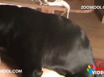 The Purpose. The Dog Seemed To Relish The Grip Of Her