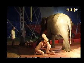 Elephant And Girl Porn
