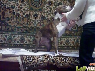 091 Zhd Hd Animalsex 05 001