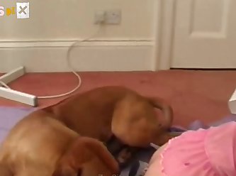 Down Each Side Of Beth's Cunt. Her Cuntlips Were Then