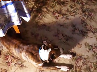 Ring Was Then Placed Around The Puzzled Girl's Neck