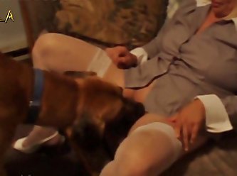 417 Zhd Www.dog Horse.info 001