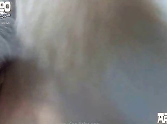 001 Zhd Artofzoo Video Set 2015 011