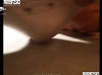 001 Zhd Artofzoo Video Set 2015 011