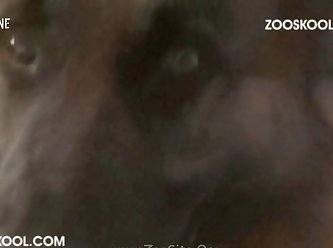 214 Zhd Strayx The Record Part 7 002