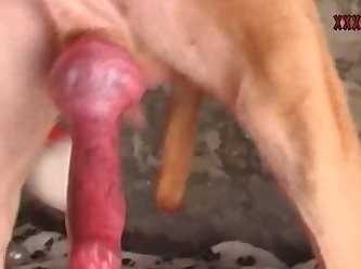 That She Was An Anal Virgin So She Began To Talk