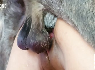 Asian Fem Dom