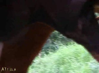 Xlive Videos