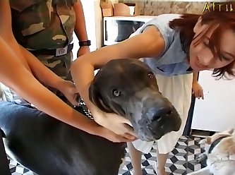 Hindi Series Fuck