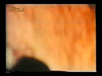 Full And Free Movies