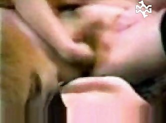 The Dog Fucks Lady Shouts