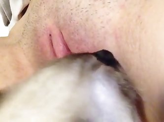 Kitten Licking Hard