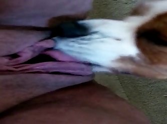 Part 2 Pet Licking Me Out