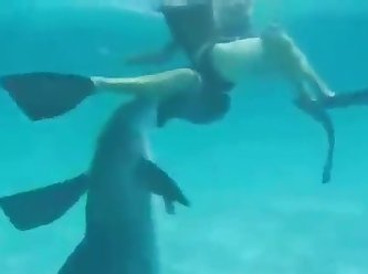 48513 Dolphin Rape