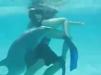 Dolphin Rape