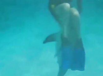 48513 Dolphin Rape