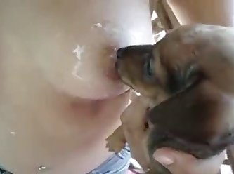 53699 Puppys Licking Nice Tits