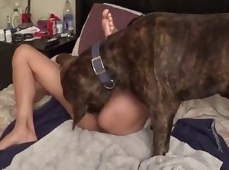 84058 Asian Pussy Licked By Dog
