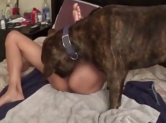 84058 Asian Pussy Licked By Dog
