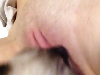 84597 Kitten Licking Hard