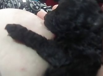 78033 Wife Breastfeeding Puppy