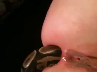 Snake In Ass