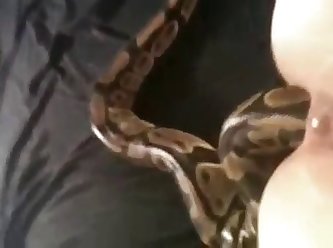 Snake In Ass