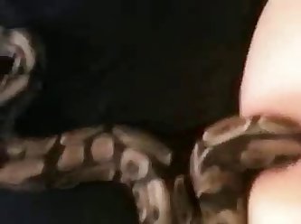 Snake In Ass