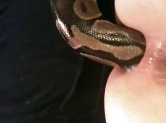 Snake In Ass