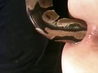 Snake In Ass