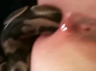 Snake In Ass