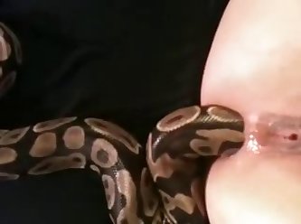 89015 Snake In Ass