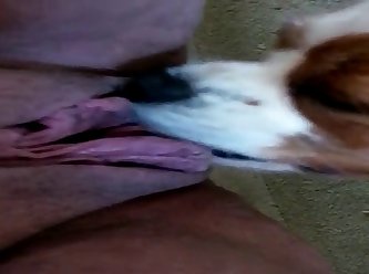 64830 Part 2 Pet Licking Me Out