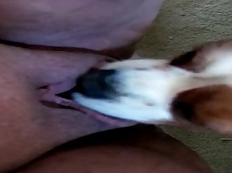 64830 Part 2 Pet Licking Me Out