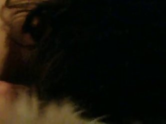 Looking For Friends