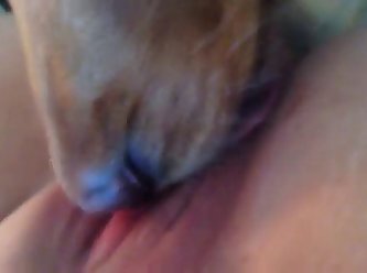 Doggy Licking Me Part 2