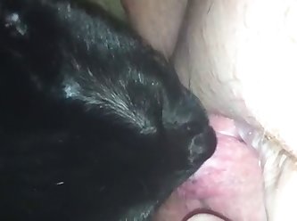 Kitty Licking Me