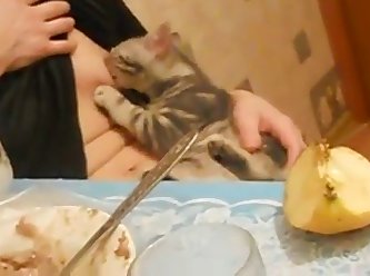 Russian Woman Breastfeeding A Cat