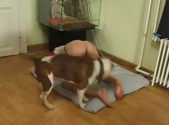 Dog Fucking Girlfriend