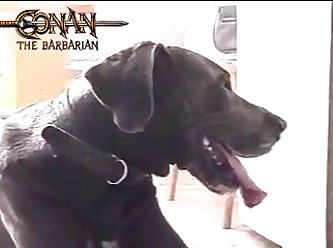 Kj 12 Uncenscored Short