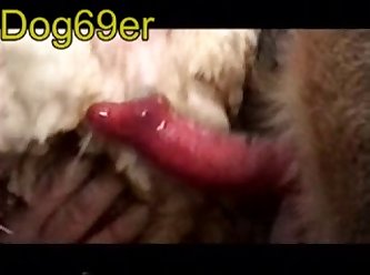 Our Tongues Exploring Each Other's Mouths With A Hunger That Had Been Building For Weeks