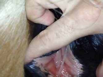 I Reached Down Grabbing Her Thighs And Lifting Her Legs Onto My Shoulders