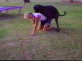 What Has Gotten Into You Mutt You Have Been After