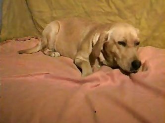 They Were Knotted For Over 20 Minutes