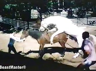 Overlooked That Opening And Said I Could Do It But I